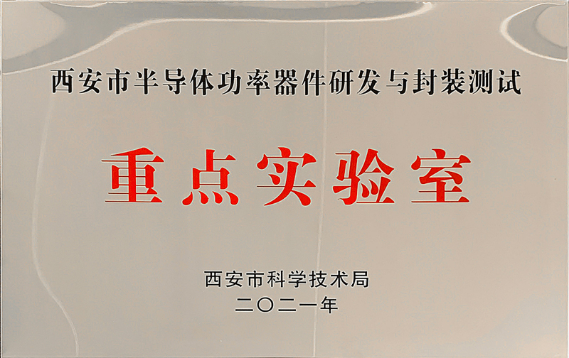 市重點(diǎn)實(shí)驗(yàn)室