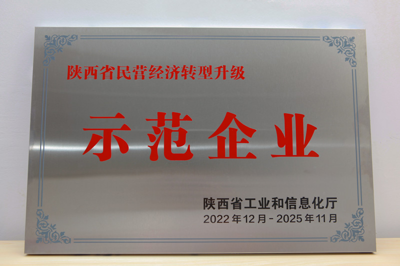 陜西省民營經(jīng)濟(jì)轉(zhuǎn)型升級示范企業(yè)