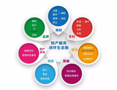 高效辦實事，服務暖人心——千慧知識產權獲客戶贈錦旗致敬